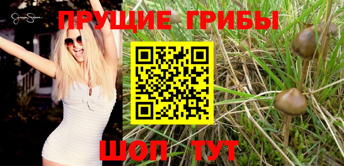 Галлюциногенные грибы мухоморы  Вход с VPN  Россия 